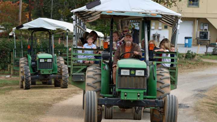 Family fun, food and activities at Gaston's 2025 fall festivals