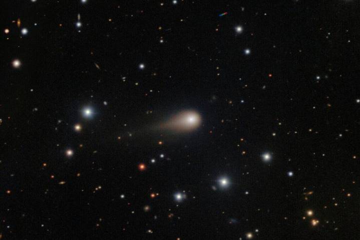 Telescope reveals a growing tail on the comet that’s visiting from another star