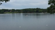 Advisory issued for Congamond Lakes due to cyanobacteria bloom