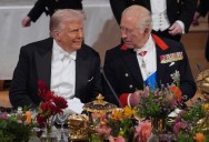 Trump y Carlos III sellan su primer encuentro con un festín de elogios y anécdotas