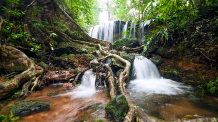 8 Hidden Western Ghats Hills You Must Visit