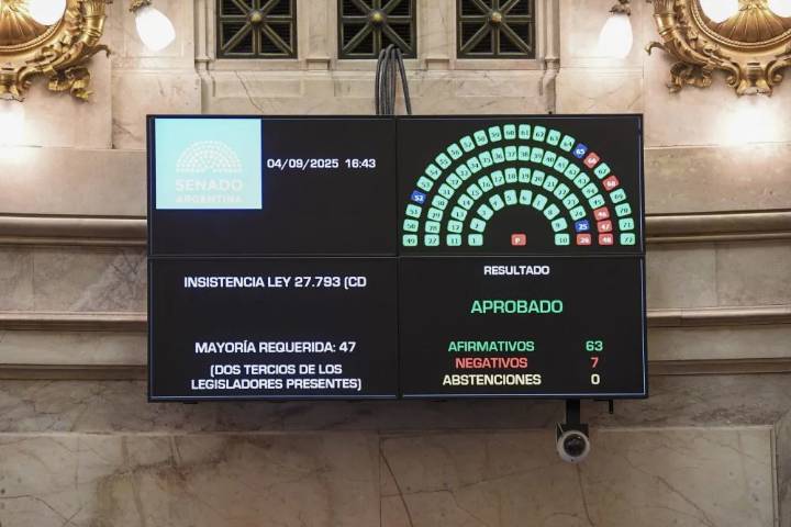 Emergencia en Discapacidad: qué cambia en pensiones y pagos a prestadores tras el abrumador voto en Senadores