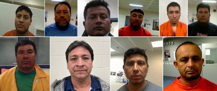 Gran operativo de ICE en Florida deja más de 400 inmigrantes indocumentados detenidos