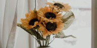 Flores amarillas el 21 de septiembre: una tradición que florece entre generaciones