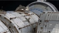 Rusia lanzó al espacio un "arca de Noé" con animales y plantas