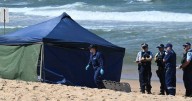Beloved shark attack victim mourned as net trial paused