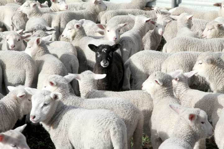 The myth of the outsider