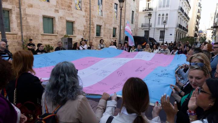 El Defensor del Pueblo recurrirá al Constitucional la ley trans valenciana