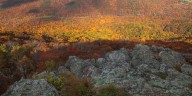 When to expect peak fall foliage in Middle Tennessee