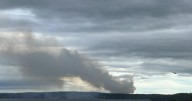 Small wildfire near lumberyard in eastern Newfoundland started in bark pile