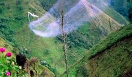 Gobernación del Valle pide al Gobierno que detenga cultivos ilícitos con glifosato