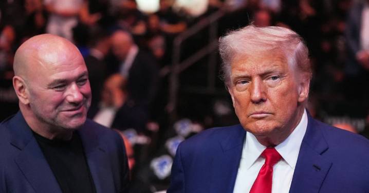 Trump confirms UFC cage match on White House lawn as Dana White gets green light