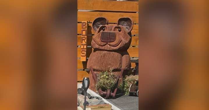 Callous thieves steal £400 memorial bear named Boris from driveway of home