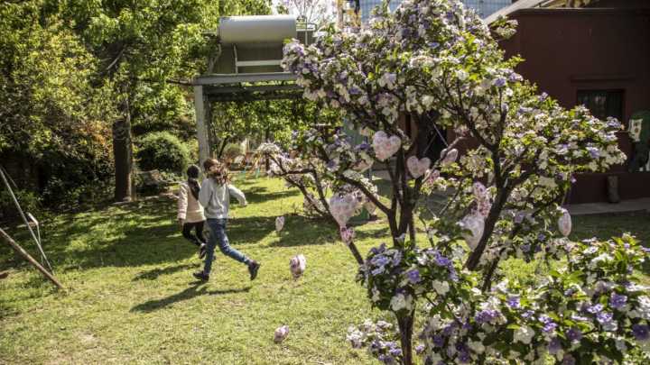 Llega el Día del Juego y la Convivencia: cómo nació la tradición que tiene casi 30 años