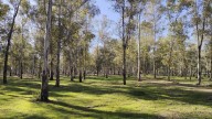 Sevilla reabre los parques de Tamarguillo y Miraflores tras aplicar el protocolo por gripe aviar