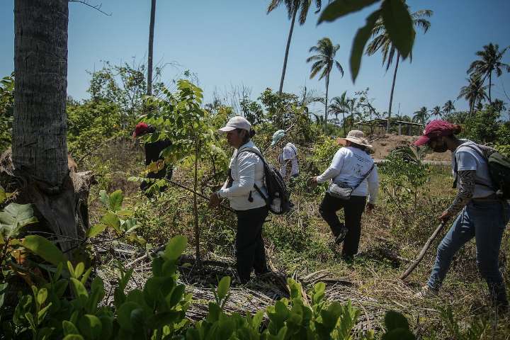 Encuentran a los cuatro hermanos desaparecidos en Acapulco a casi 250 kilómetros de donde fueron vistos la última vez