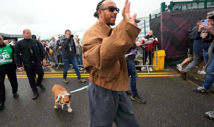 Fallece Roscoe, el querido perro de Lewis Hamilton