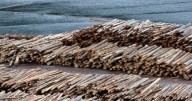 Trump Announces New Tariffs on Lumber and Furniture Imports