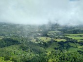 Mutis, biodiversidad y territorio