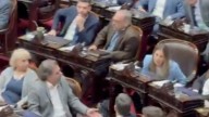 Tenso: diputados del PRO cruzaron a Lospennato por votar contra los vetos de Milei
