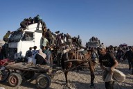 Palestina: Residentes de Gaza asaltan camiones con ayuda humanitaria al sur de Jan Yunis
