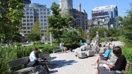 Guide to the 2025 Boston Local Food Festival