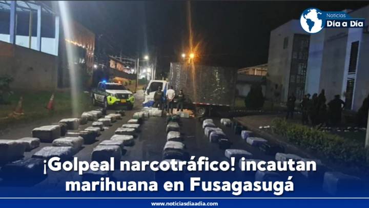 Policía incauta media tonelada de marihuana en Chinauta, Fusagasugá