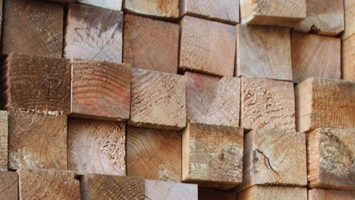 Cómo transformar pedazos de madera en esto tan lindo para tener en casa y decorar con onda