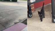 Florida Fireman Thinks His Shift Is Over Until A Tiny Surprise Melts His Heart