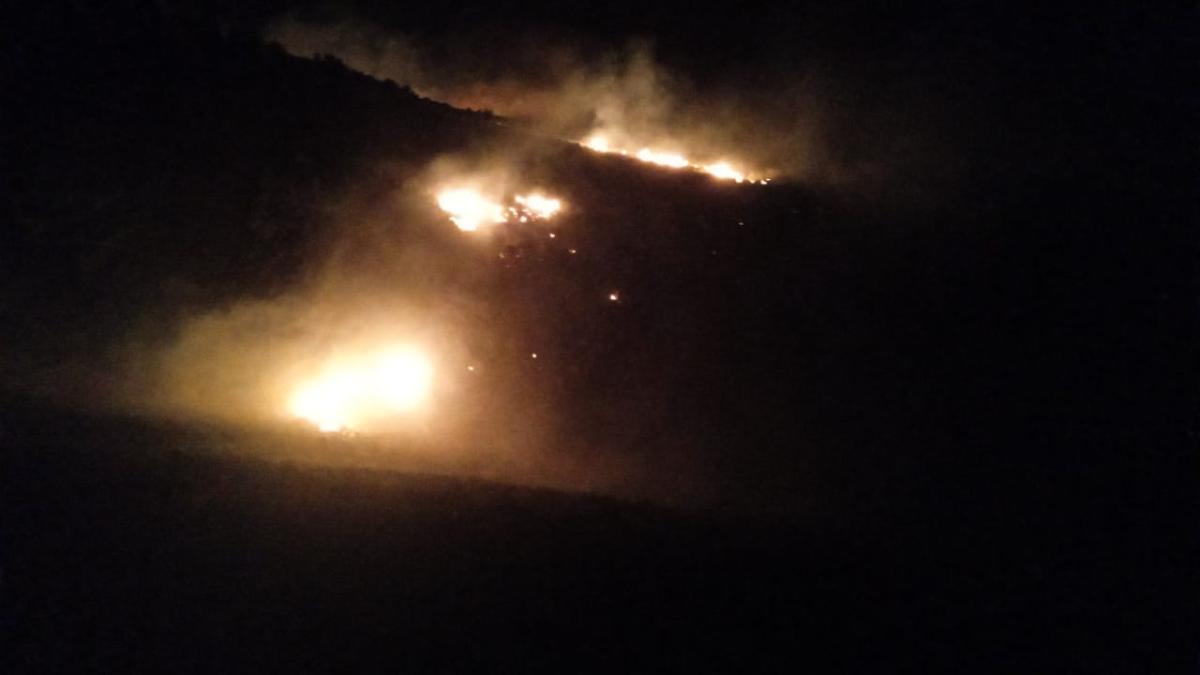 Arequipa: Incendio forestal arrasa con 120 hectáreas de pastizales en Caylloma