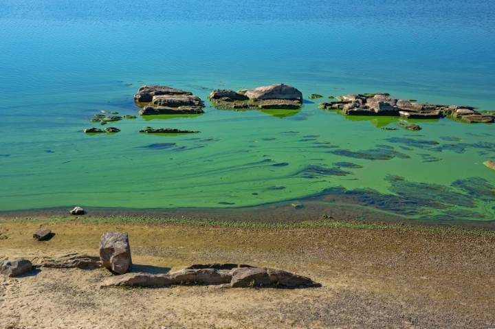 Harmful algae bloom prompts health advisory at Carpenters Lake