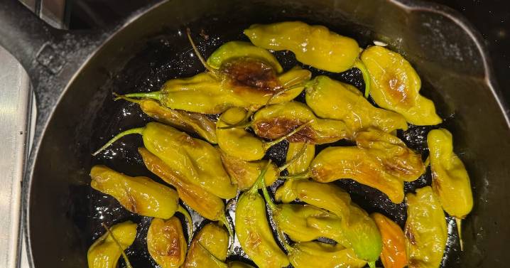 What We’re Cooking This Week: Blistered Shishito Peppers