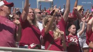 Razorback fans give thoughts over Pittman's exit, hopeful with Petrino's return
