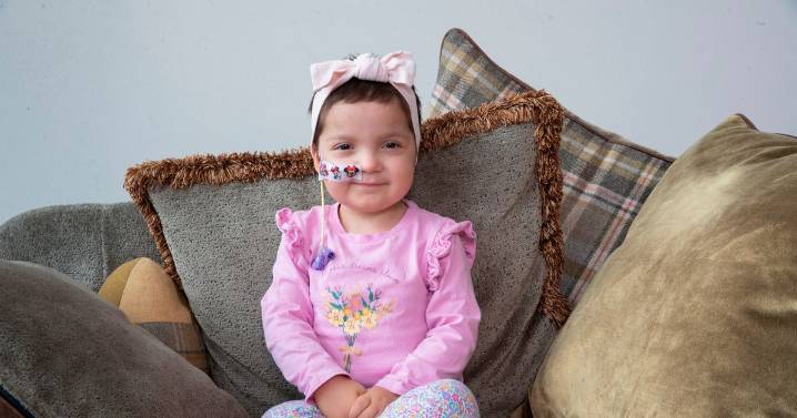 Family of toddler battling Leukaemia in race against time to raise £100k for 'last chance' treatment