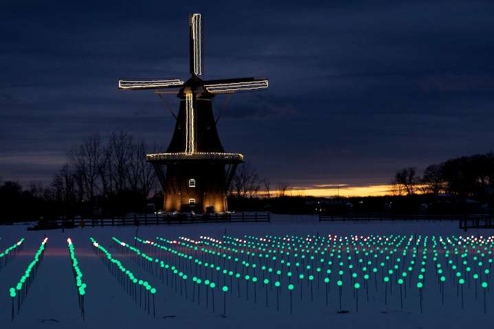 Tulip Time blooms in the winter with new Dutch festival in December