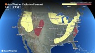 Dry conditions may cause fall foliage to appear early: Here’s the latest forecast