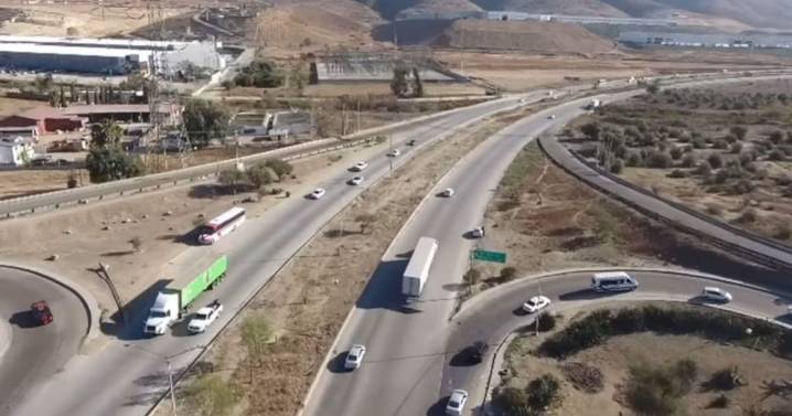 Retirarán 150 árboles para dar paso a carriles de cuota en el Corredor 2000