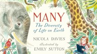 Literary Links: Books that investigate variety in life
