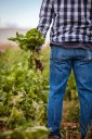 'Unsustainable': Farmer issues new dire warning about 'Trump chaos' in scathing rebuke