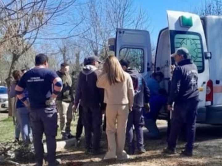 Tragedia en Córdoba: un bombero voluntario murió tras caer desde seis metros cuando hacía tareas de poda en la calle