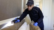Tomeu Marimon, gerente de Anticimex Baleares: "Impulsamos la modernización del control de plagas en Mallorca apostando por la tecnología y la sostenibilidad"