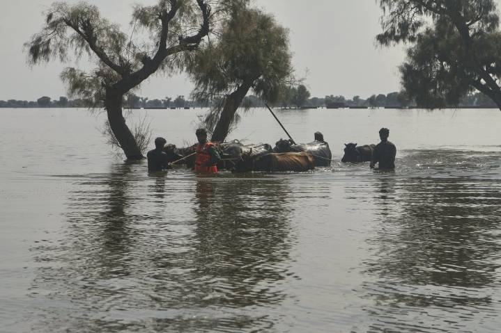 Rescuers in Pakistan scramble to save residents as swollen rivers reach dangerous levels