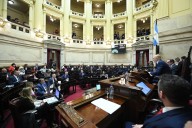 El Senado rechazó el veto a la emergencia en Discapacidad