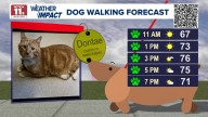 Dry, sunny Tuesday; warmup through week
