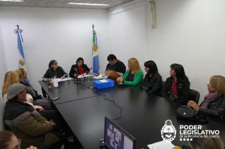 La Comisión de Géneros recibió a organizaciones y referentes de la diversidad