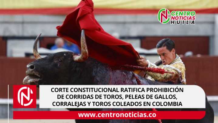 Corte Constitucional ratifica prohibición de corridas de toros, peleas de gallos, corralejas y toros coleados en Colombia