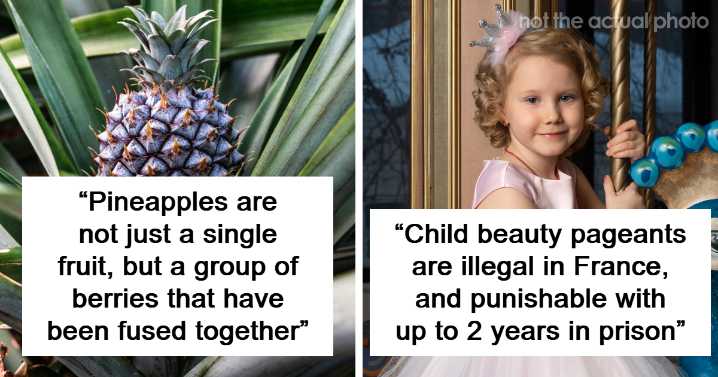 47 Entries From ‘Mind Blowing Facts’ That Live Up To The Name