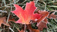 Can folklore forecast fall, winter weather in Mississippi? What to know