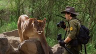 ¿Turismo en riesgo en Nuevo león? captan a puma y oso negro en famoso parque