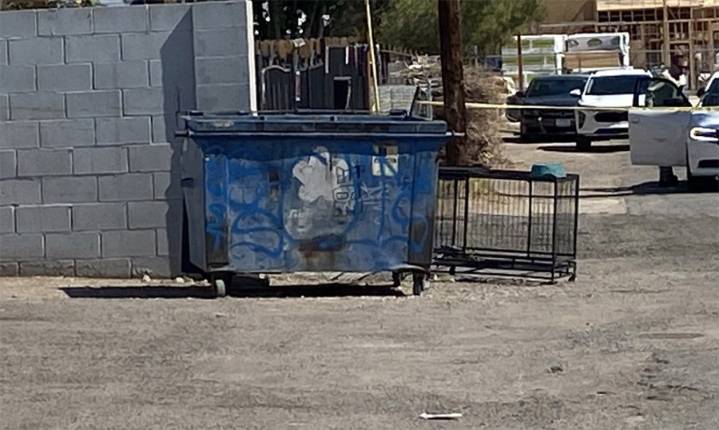 Las Vegas man accused of dumping dead dog played video games while pet sat in 109